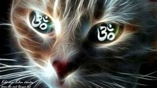 SEXY DANCE NAKED VOL.2 DJ SIRDRAGON 2013.. porn video